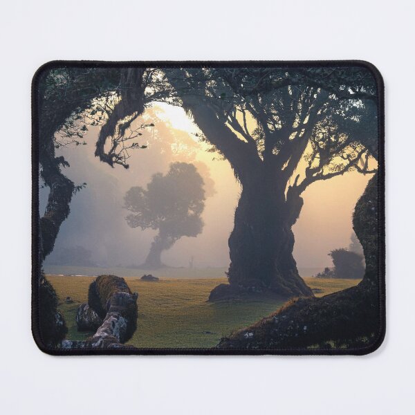 Item preview, Fanal forest designed and sold by andreisky.