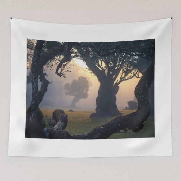 Item preview, Fanal forest designed and sold by andreisky.