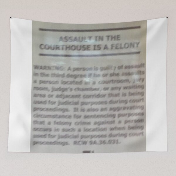 Item preview, assault in the courthouse is a felony designed and sold by ExMeansWithOut.