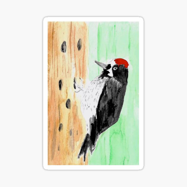 Item preview, Acorn Woodpecker designed and sold by herongirlart.