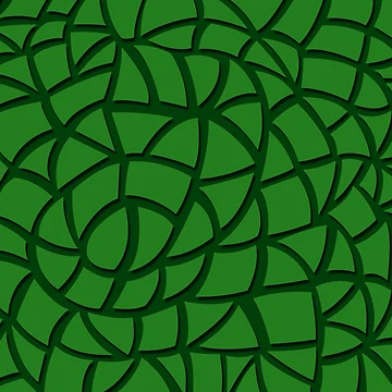 Artwork thumbnail, Turtle Shell by FullonFulton