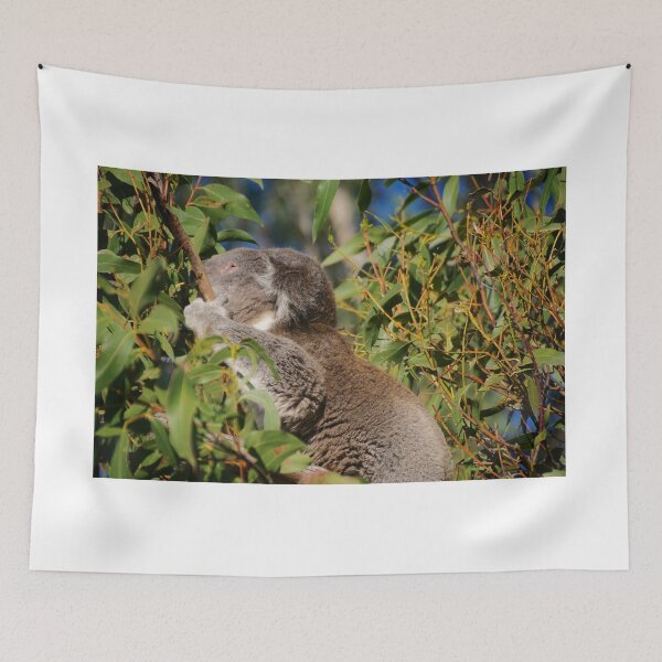 Item preview, Koala in a Gum Tree designed and sold by D-GaP.