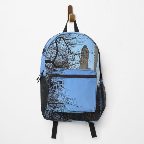 Item preview, New York City Skyline designed and sold by Emmacatecreates.