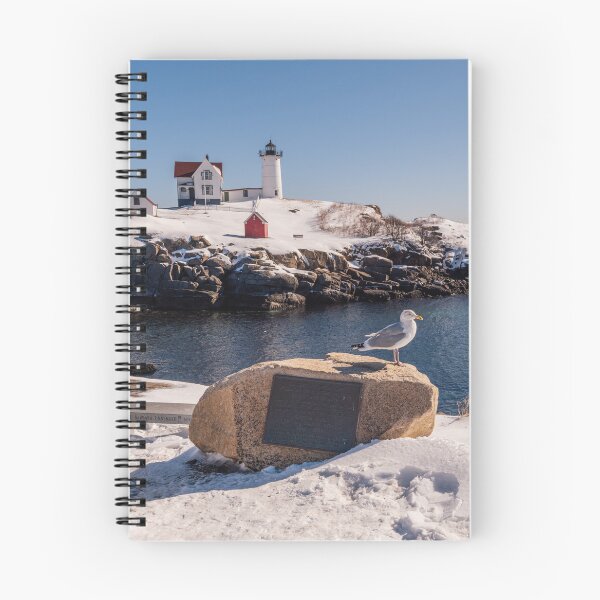 Item preview, Seagull Keeping Watch designed and sold by DeloreStudio.