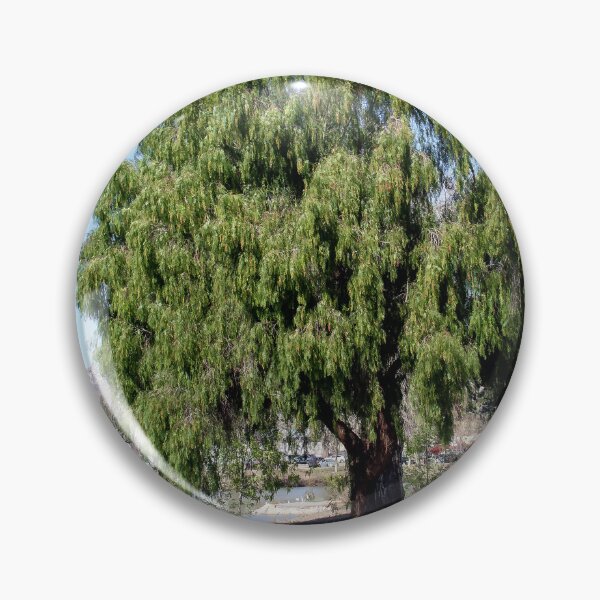 Item preview, Big Tree at the Lake designed and sold by heatherfriedman.
