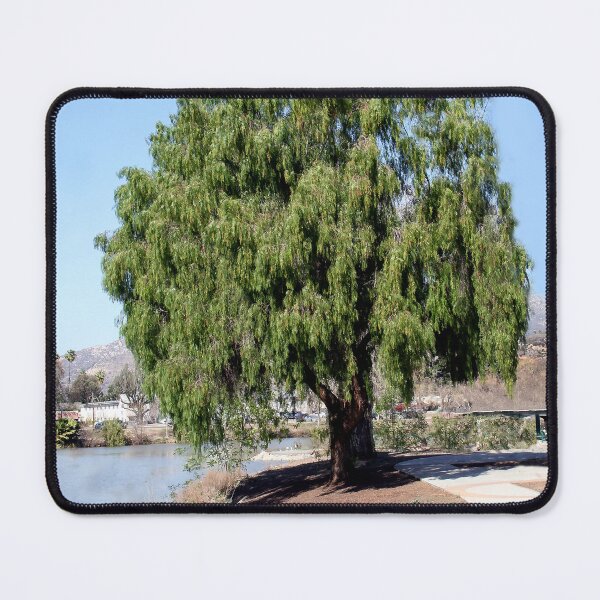 Item preview, Big Tree at the Lake designed and sold by heatherfriedman.
