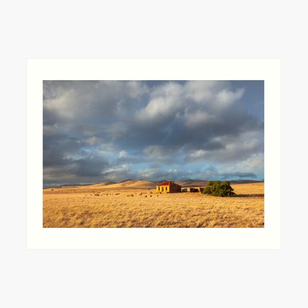 Art Print