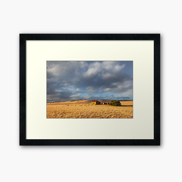 Framed Art Print