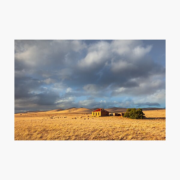 Photographic Print
