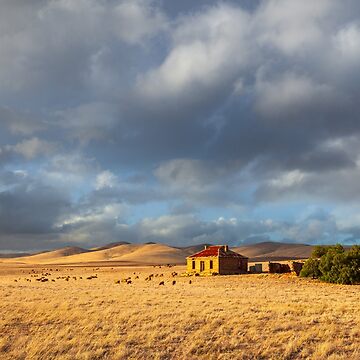 Artwork thumbnail, Burra Homestead, South Australia by Michael Boniwell