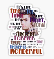 wonderful doctor Sticker