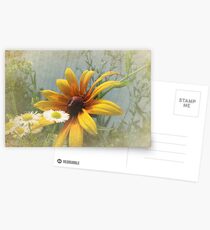 Fair Weather Friends Postcards