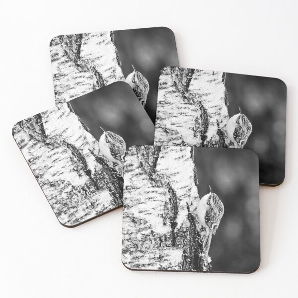 Item preview, Bircher. Eurasian treecreeper bw designed and sold by Jouko Lehto Photography.
