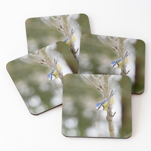 Item preview, Eurasian blue tit February moves designed and sold by Jouko Lehto Photography.