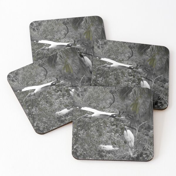 Item preview, Flying Wood Stork Black And White  designed and sold by MercerImages.