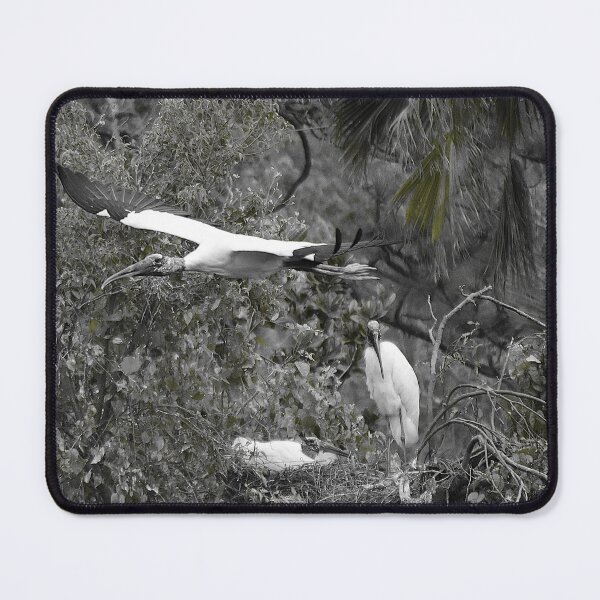 Item preview, Flying Wood Stork Black And White  designed and sold by MercerImages.