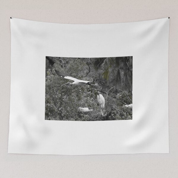 Item preview, Flying Wood Stork Black And White  designed and sold by MercerImages.