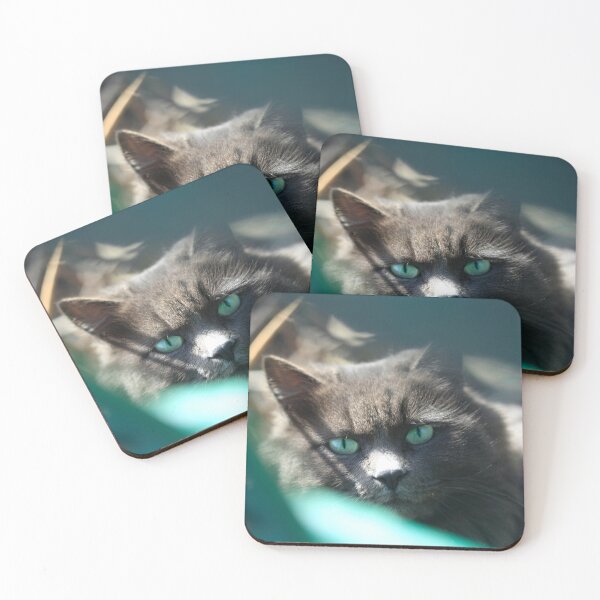 Item preview, Portrait of cute street cat designed and sold by olena2552.