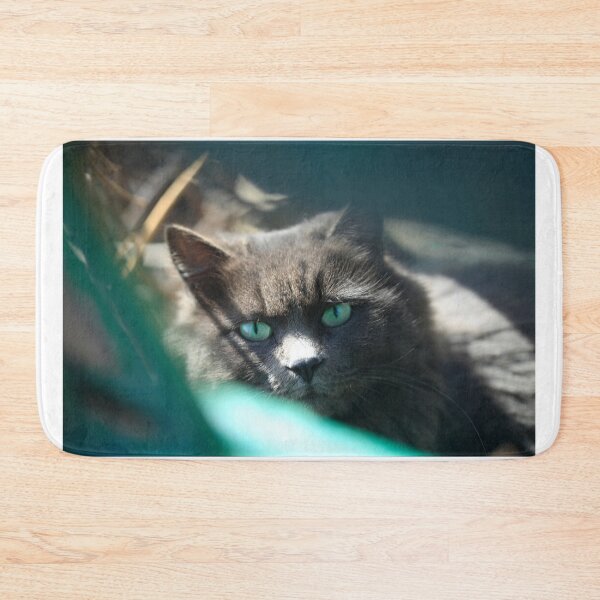 Item preview, Portrait of cute street cat designed and sold by olena2552.