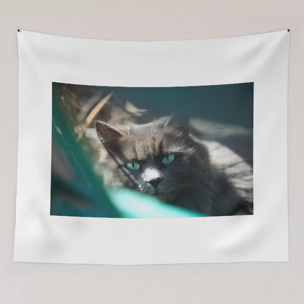 Item preview, Portrait of cute street cat designed and sold by olena2552.