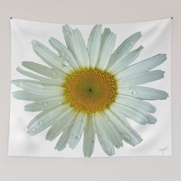 Item preview, Oxeye Daisy on a Fresh Spring Day designed and sold by SPB1.