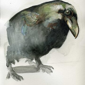 Artwork thumbnail, Raven staring by Maite Sánchez Art