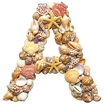 Artwork thumbnail, SHELLS LETTER A by ART-TYPE