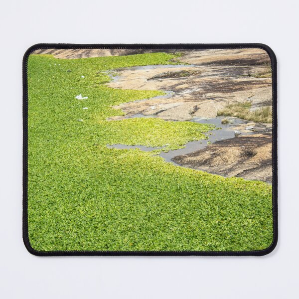 Artikelvorschau, Wasservegetation auf dem Berg entworfen und verkauft von felipequeiroz.