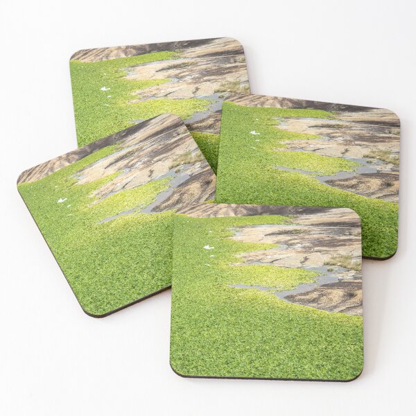 Item preview, Aquatic vegetation on the mountain designed and sold by felipequeiroz.