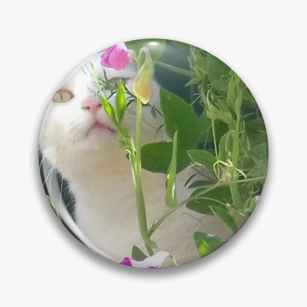 Artikelvorschau, Katze Geoffrey mit Duftwicken entworfen und verkauft von JWRocks.