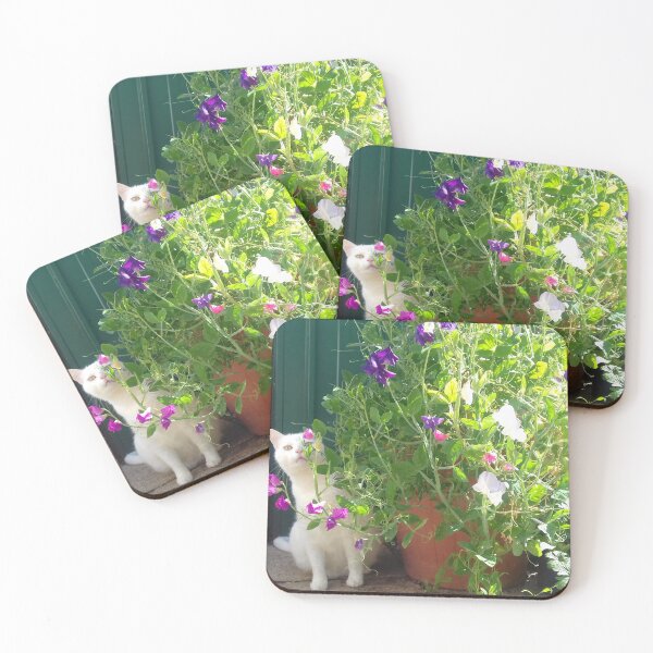 Item preview, Geoffrey the cat with Sweet Peas designed and sold by JWRocks.