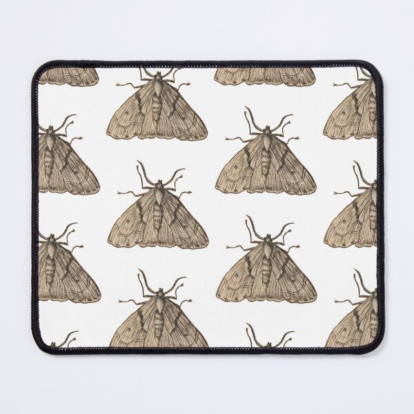 Item preview, Antique Little Moth Drawing, Entomology Illustration  designed and sold by HawthorneFlame.