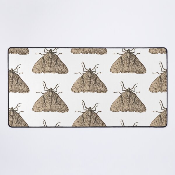 Item preview, Antique Little Moth Drawing, Entomology Illustration  designed and sold by HawthorneFlame.