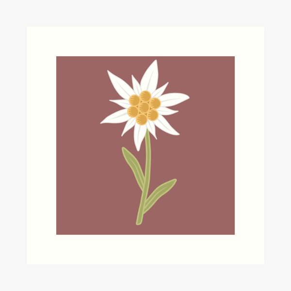 Item preview, Edelweiss Flower designed and sold by sarahsdesigns02.
