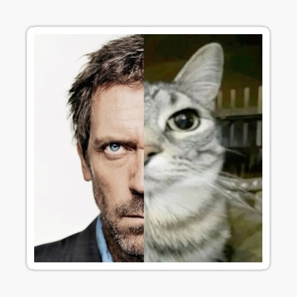 Artikel-Vorschau von Dr. House - Katzen-Meme, designt und verkauft von EarwigDesigns.