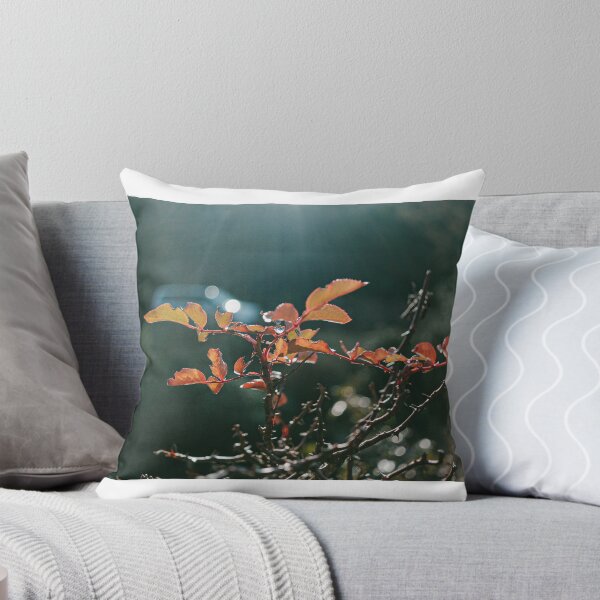Item preview, A close-up shot of a branch with reddish-orange leaves, backlit by sunlight. The leaves show signs of autumn, with some discoloration and slightly jagged edges.  designed and sold by BARTISTA DESIGN.