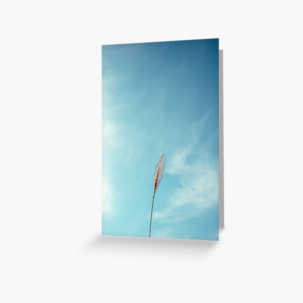 Item preview, A minimalist shot of a single, slender stalk of ornamental grass against a clear, bright blue sky. The grass, with its feathery texture, stands out against the solid, cloudless backdrop designed and sold by BARTISTA DESIGN.