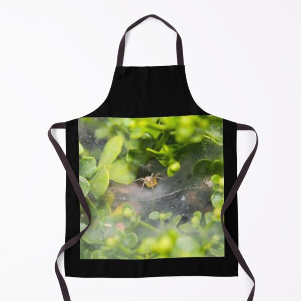 Item preview, Spider Hideaway designed and sold by craftsbydaphy.