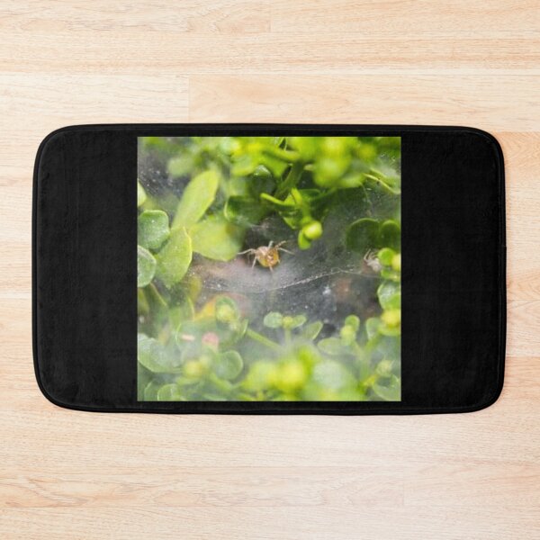 Item preview, Spider Hideaway designed and sold by craftsbydaphy.