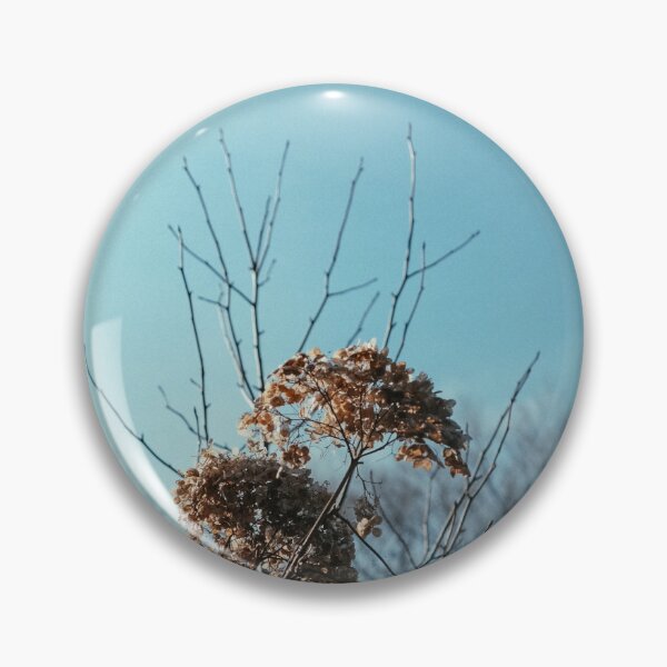 Item preview, A low-angle shot of dried hydrangea flowers against a bright blue sky. The flowers are in various stages of decay, showing their faded brown and beige hues. designed and sold by BARTISTA DESIGN.