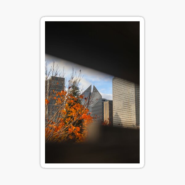 Item preview, Diamond In Frame designed and sold by shotbyarianat.