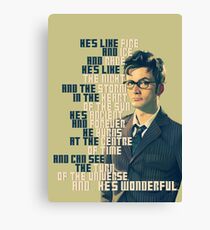 David Tennant - He's wonderful Canvas Print