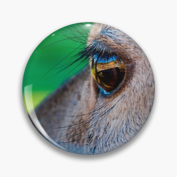 Item preview, Big roe deer eye designed and sold by Gabszab.