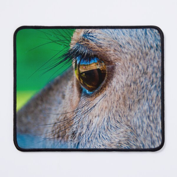 Item preview, Big roe deer eye designed and sold by Gabszab.