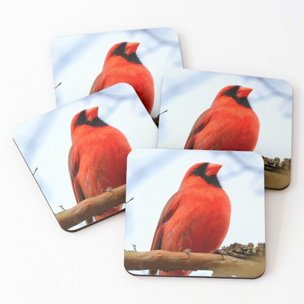 Item preview, Cardenal designed and sold by Parks and X.