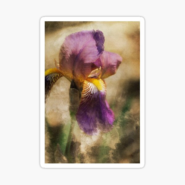 Item preview, Iris designed and sold by GildedMoonStore.