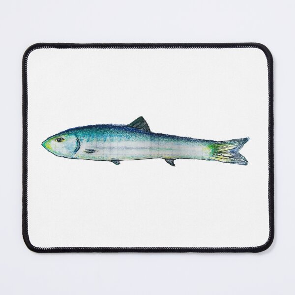 Item preview, Blue Anchovy Fish Illustration designed and sold by LinhPhungArt.