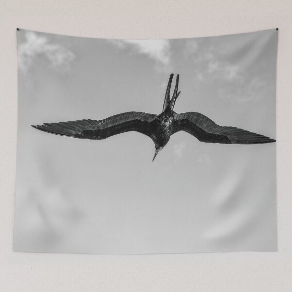 Item preview, The Male Magnificent Frigate Bird In Black And White designed and sold by Kay Brewer.