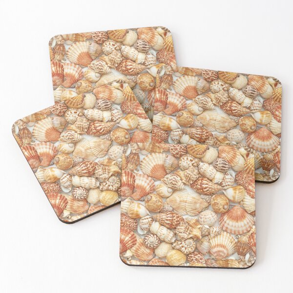 SHELL PATTERN Coasters (Set of 4)