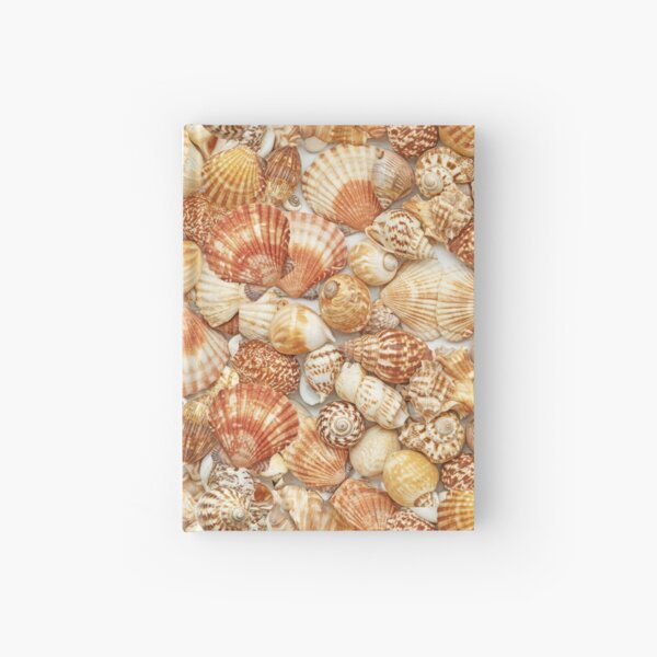 SHELL PATTERN Hardcover Journal